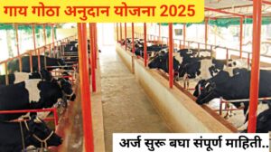 गाय गोठा अनुदान योजना: पशुपालन व्यवसायाला मजबूती देण्यासाठी सबसिडी आणि आर्थिक सहाय्य मिळवा