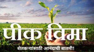 शेतकऱ्यांसाठी आनंदाची बातमी! पीकविमा योजनेचा शेवटचा हप्ता या दिवशी येण्याची शक्यता जाणून घ्या