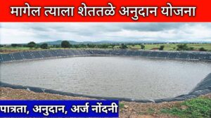 शेततळे बांधण्यासाठी मिळणार 50,000 अनुदान! अर्ज प्रक्रिया आणि कागदपत्रं जाणून घ्या